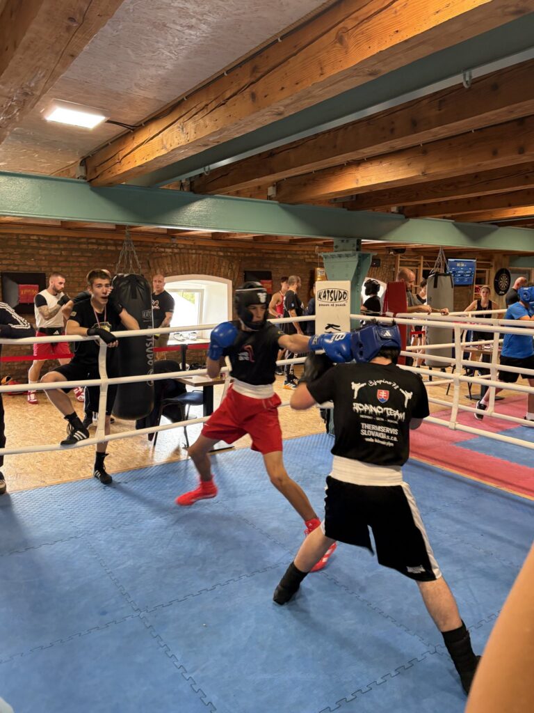 Sparing starších boxerov v ringu